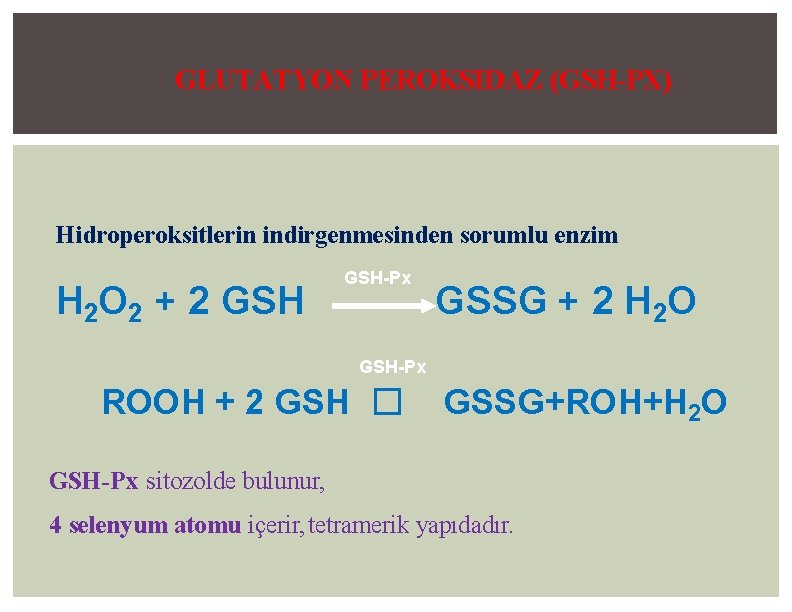 GLUTATYON PEROKSIDAZ (GSH-PX) Hidroperoksitlerin indirgenmesinden sorumlu enzim H 2 O 2 + 2 GSH-Px