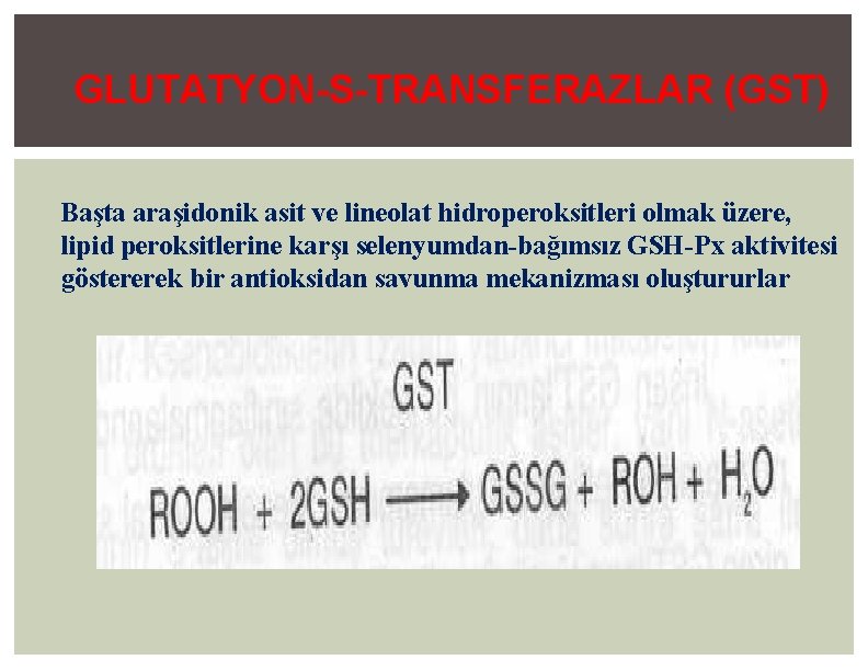 GLUTATYON-S-TRANSFERAZLAR (GST) Başta araşidonik asit ve lineolat hidroperoksitleri olmak üzere, lipid peroksitlerine karşı selenyumdan-bağımsız