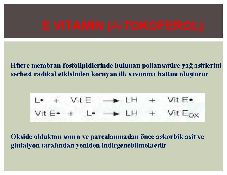 E VITAMIN (Α-TOKOFEROL) Hücre membran fosfolipidlerinde bulunan poliansatüre yağ asitlerini serbest radikal etkisinden koruyan