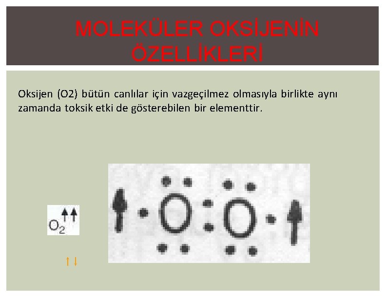 MOLEKÜLER OKSİJENİN ÖZELLİKLERİ Oksijen (O 2) bütün canlılar için vazgeçilmez olmasıyla birlikte aynı zamanda