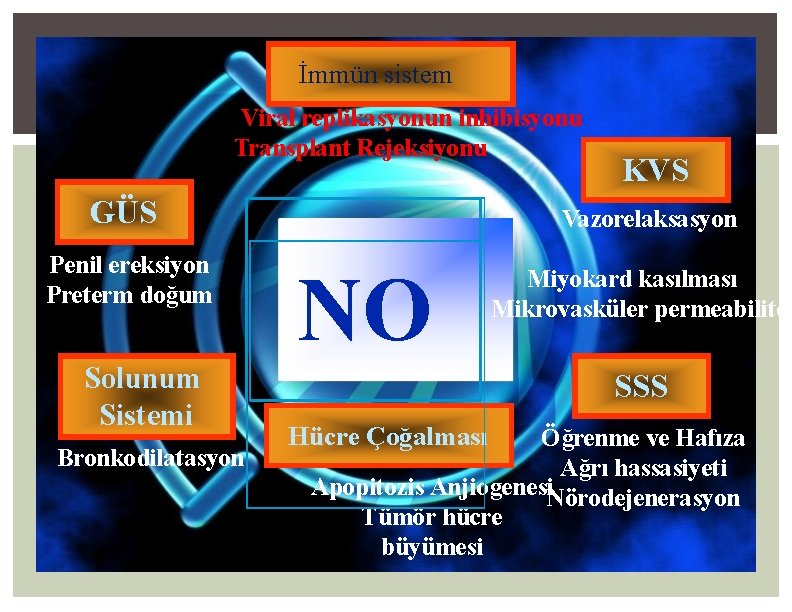 İmmün sistem Viral replikasyonun inhibisyonu Transplant Rejeksiyonu GÜS Penil ereksiyon Preterm doğum Solunum Sistemi