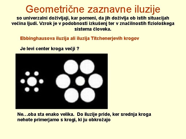 Geometrične zaznavne iluzije so univerzalni doživljaji, kar pomeni, da jih doživlja ob istih situacijah