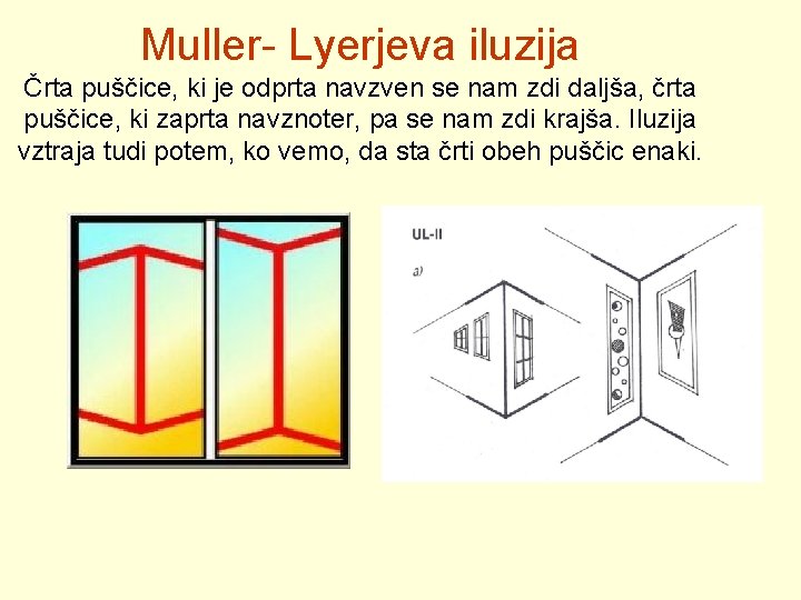 Muller- Lyerjeva iluzija Črta puščice, ki je odprta navzven se nam zdi daljša, črta