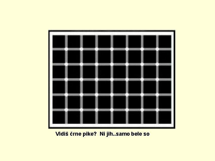 Vidiš črne pike? Ni jih. . samo bele so 