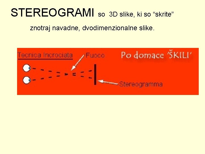 STEREOGRAMI so 3 D slike, ki so “skrite” znotraj navadne, dvodimenzionalne slike. 