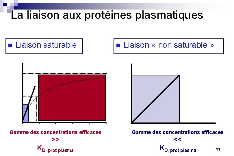 La liaison aux protéines plasmatiques n Liaison saturable n Liaison « non saturable »