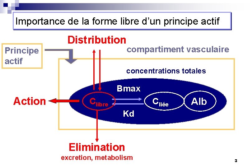 Importance de la forme libre d’un principe actif Principe actif Distribution compartiment vasculaire concentrations
