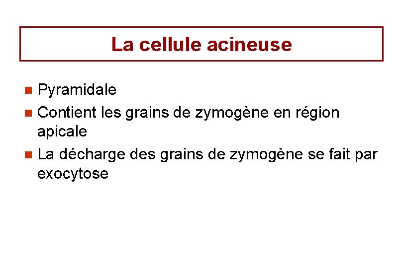 La cellule acineuse Pyramidale n Contient les grains de zymogène en région apicale n