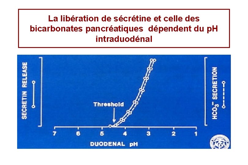 La libération de sécrétine et celle des bicarbonates pancréatiques dépendent du p. H intraduodénal