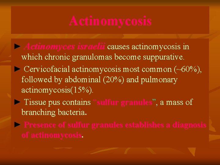 Actinomycosis ► Actinomyces israelii causes actinomycosis in which chronic granulomas become suppurative. ► Cervicofacial