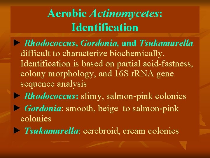 Aerobic Actinomycetes: Identification ► Rhodococcus, Gordonia, and Tsukamurella difficult to characterize biochemically. Identification is