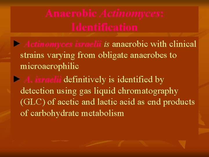 Anaerobic Actinomyces: Identification ► Actinomyces israelii is anaerobic with clinical strains varying from obligate