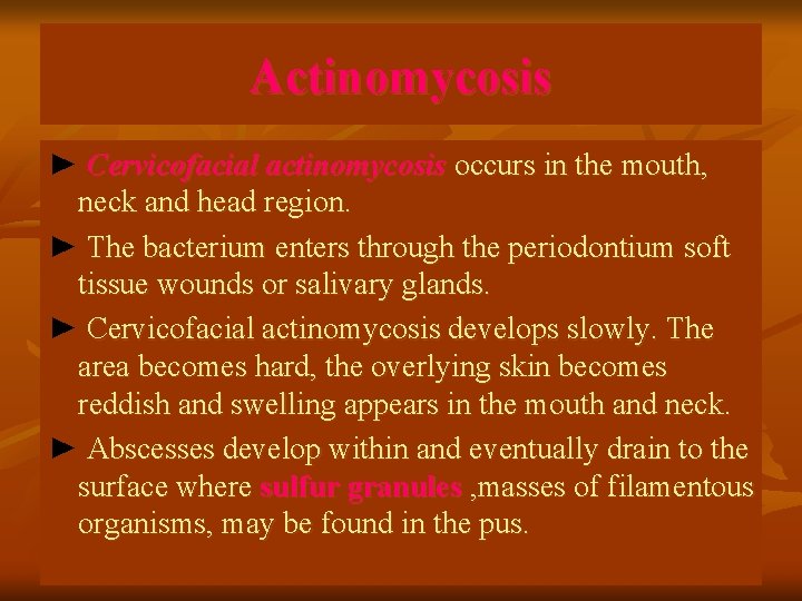 Actinomycosis ► Cervicofacial actinomycosis occurs in the mouth, neck and head region. ► The