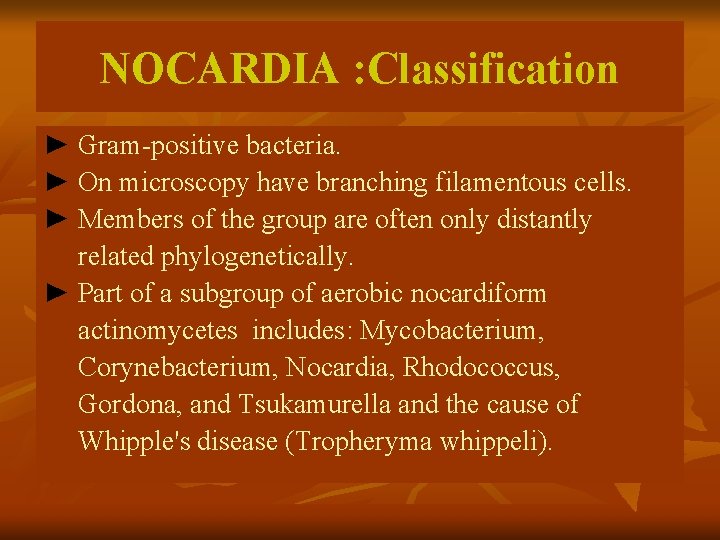 NOCARDIA : Classification ► Gram-positive bacteria. ► On microscopy have branching filamentous cells. ►