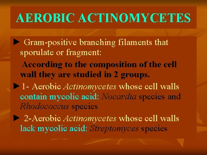 AEROBIC ACTINOMYCETES ► Gram-positive branching filaments that sporulate or fragment: According to the composition