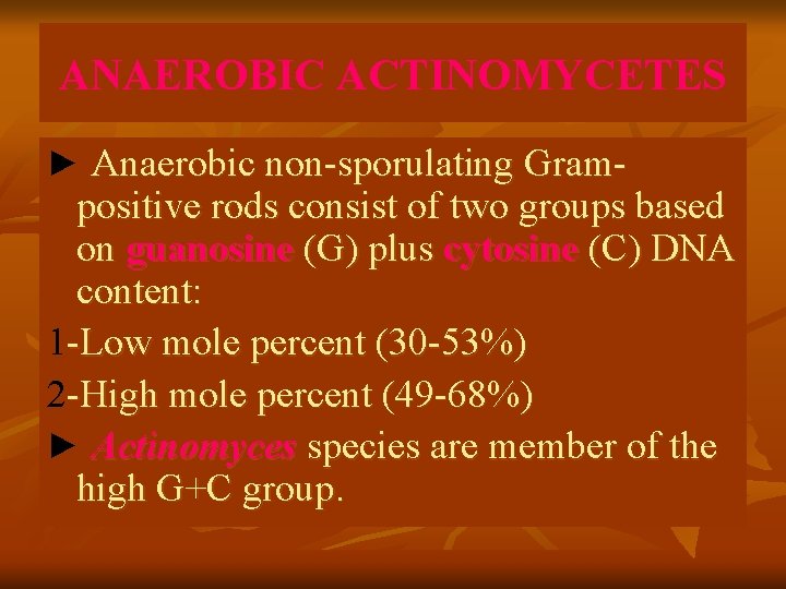 ANAEROBIC ACTINOMYCETES ► Anaerobic non-sporulating Gram- positive rods consist of two groups based on