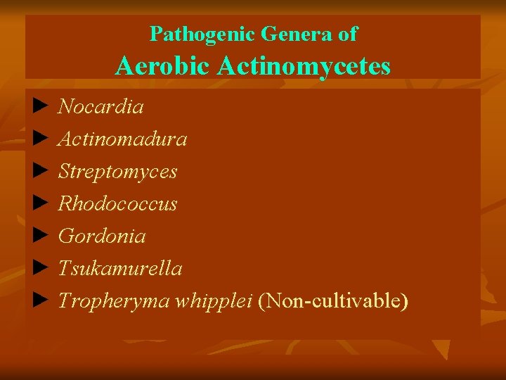 Pathogenic Genera of Aerobic Actinomycetes ► Nocardia ► Actinomadura ► Streptomyces ► Rhodococcus ►