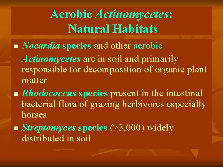 Aerobic Actinomycetes: Natural Habitats n n n Nocardia species and other aerobic Actinomycetes are