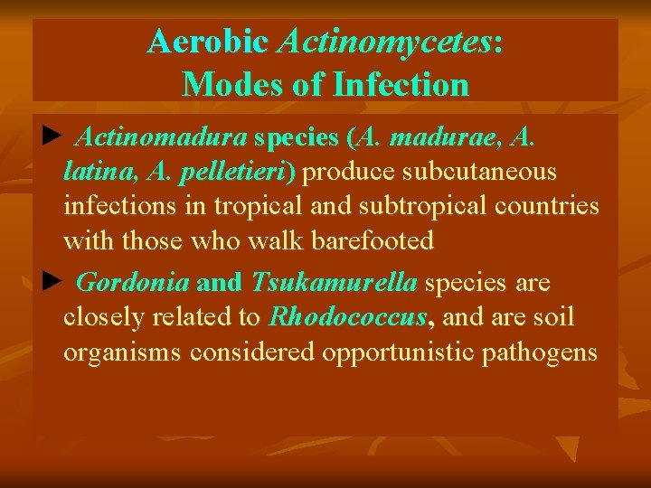 Aerobic Actinomycetes: Modes of Infection ► Actinomadura species (A. madurae, A. latina, A. pelletieri)