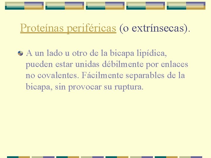 Proteínas periféricas (o extrínsecas). A un lado u otro de la bicapa lipídica, pueden