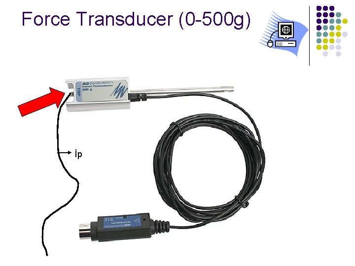 Force Transducer (0 -500 g) İp 