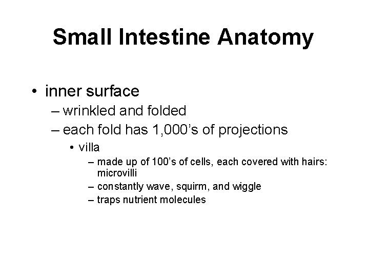 Small Intestine Anatomy • inner surface – wrinkled and folded – each fold has