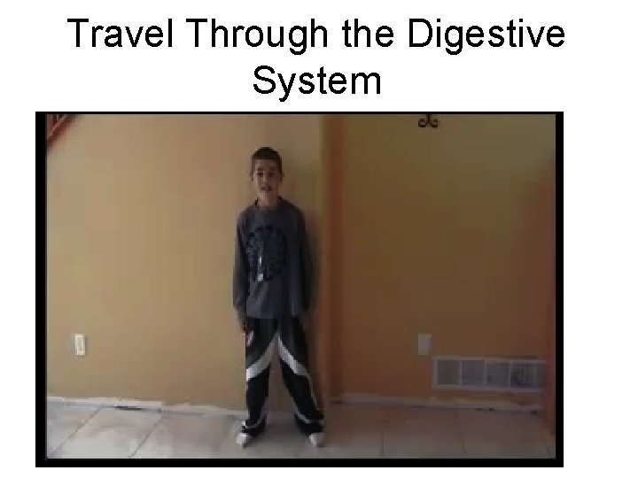 Travel Through the Digestive System 