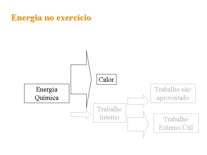 Energia no exercício Calor Energia Química Trabalho não aproveitado Trabalho Interno Trabalho Externo Útil