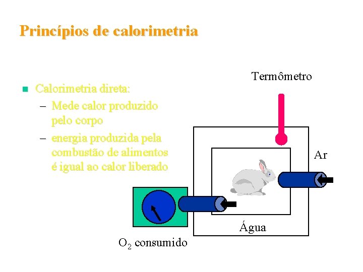 Princípios de calorimetria n Calorimetria direta: – Mede calor produzido pelo corpo – energia