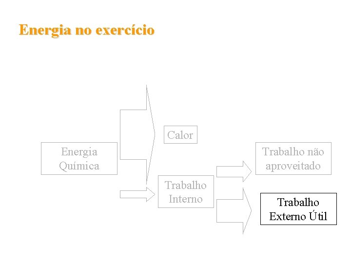 Energia no exercício Calor Energia Química Trabalho não aproveitado Trabalho Interno Trabalho Externo Útil