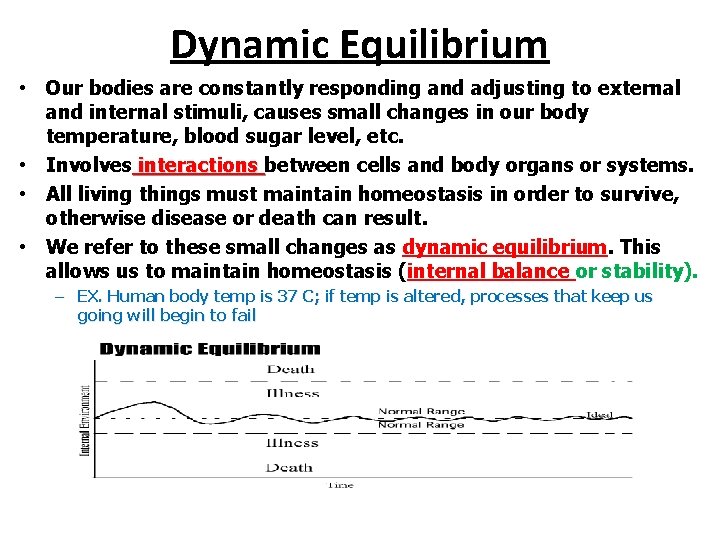 Dynamic Equilibrium • Our bodies are constantly responding and adjusting to external and internal