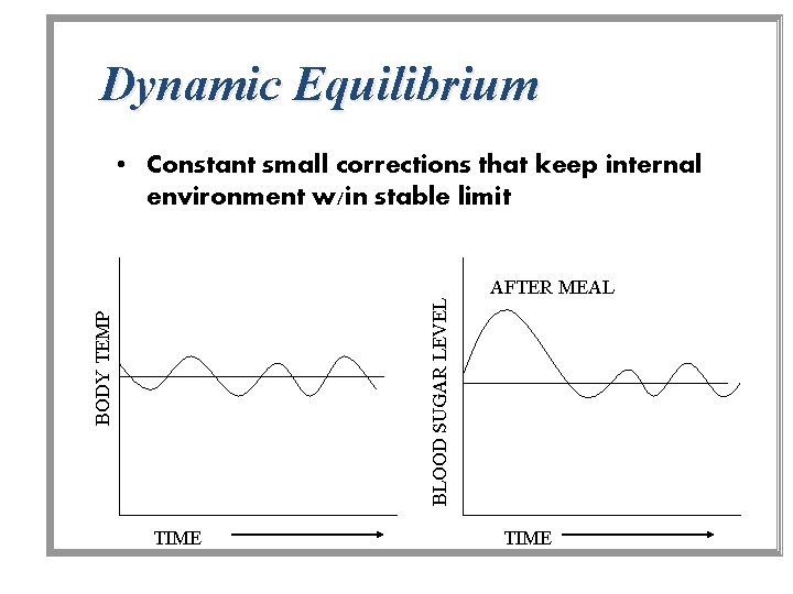Dynamic Equilibrium • Constant small corrections that keep internal environment w/in stable limit BODY Dynamic Equilibrium • Constant small corrections that keep internal environment w/in stable limit BODY