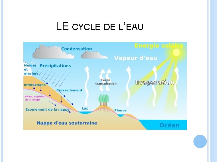 LE CYCLE DE L’EAU 