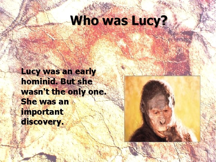 Who was Lucy? Lucy was an early hominid. But she wasn't the only one.
