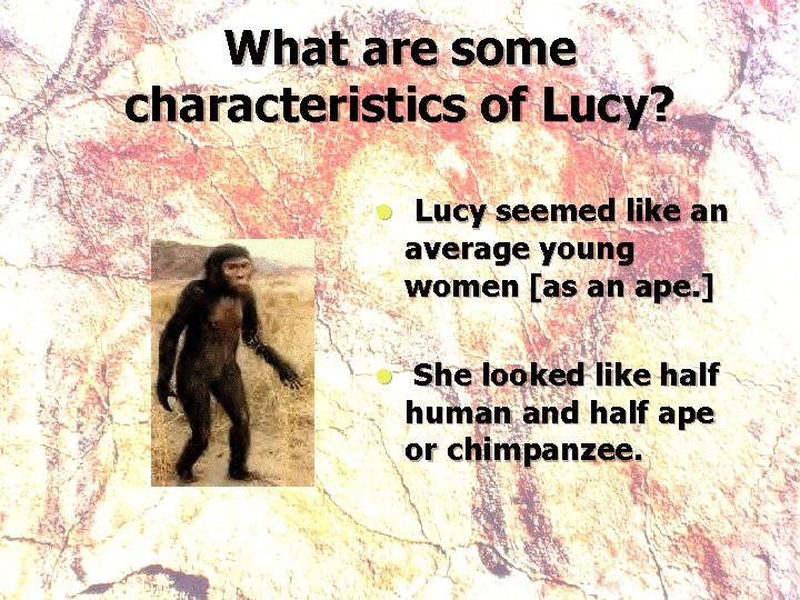 What are some characteristics of Lucy? l Lucy seemed like an average young women
