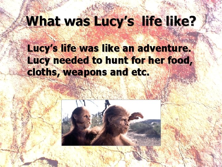 What was Lucy’s life like? Lucy’s life was like an adventure. Lucy needed to