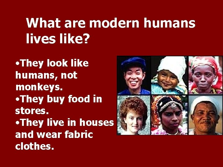What are modern humans lives like? • They look like humans, not monkeys. •