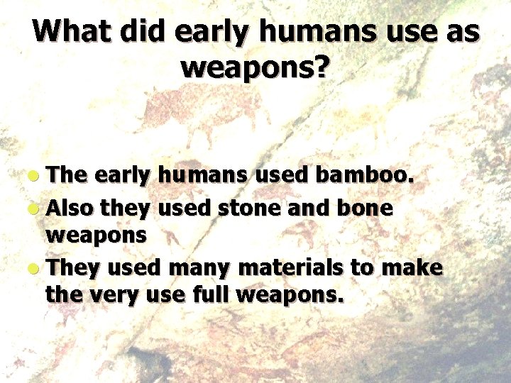 What did early humans use as weapons? l The early humans used bamboo. l