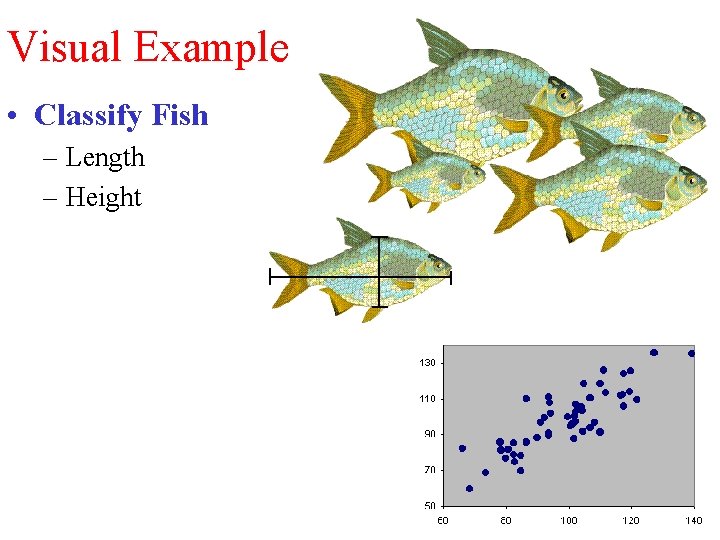 Visual Example • Classify Fish – Length – Height 