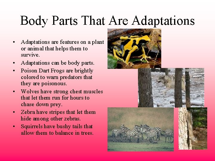 Body Parts That Are Adaptations • Adaptations are features on a plant or animal
