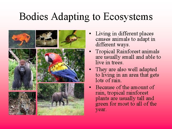 Bodies Adapting to Ecosystems • Living in different places causes animals to adapt in