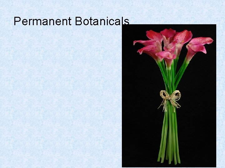  Permanent Botanicals 
