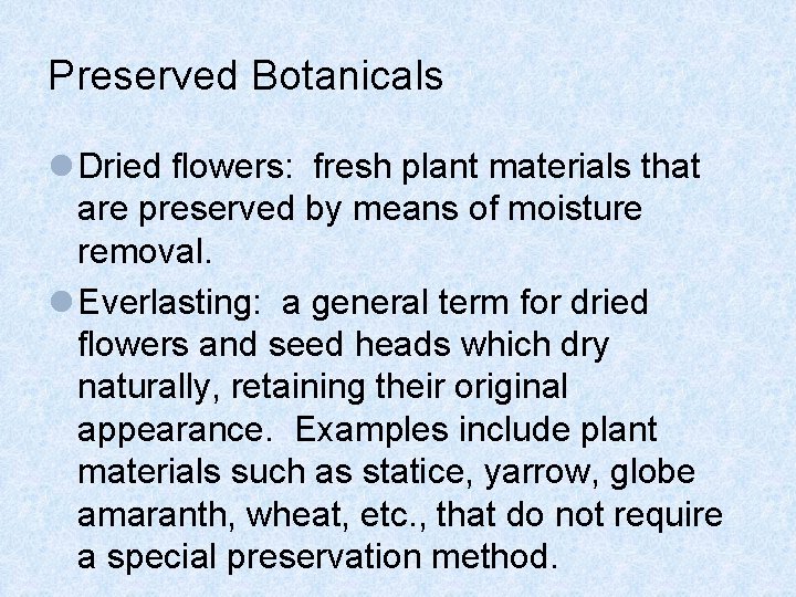 Preserved Botanicals l Dried flowers: fresh plant materials that are preserved by means of
