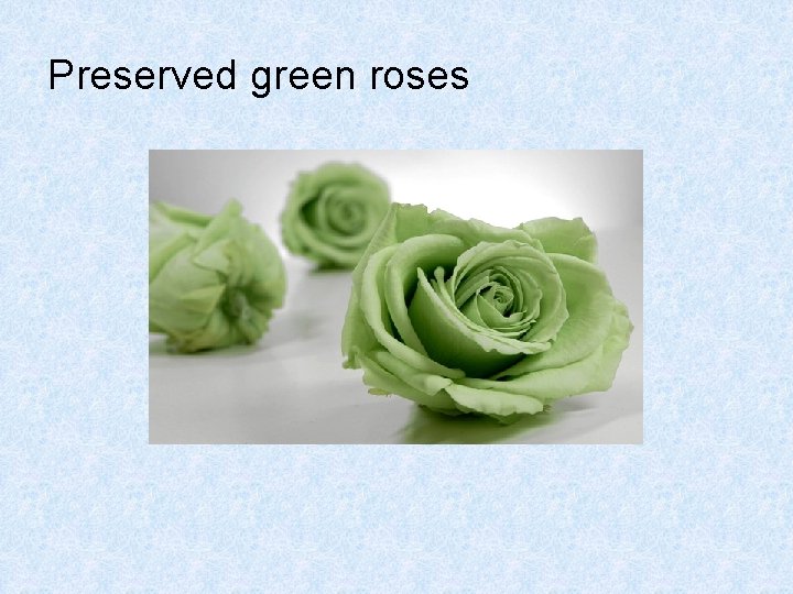 Preserved green roses 