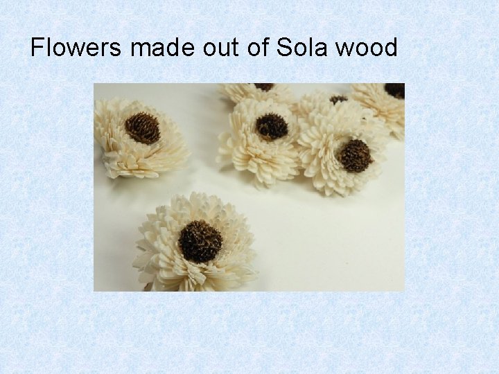 Flowers made out of Sola wood 