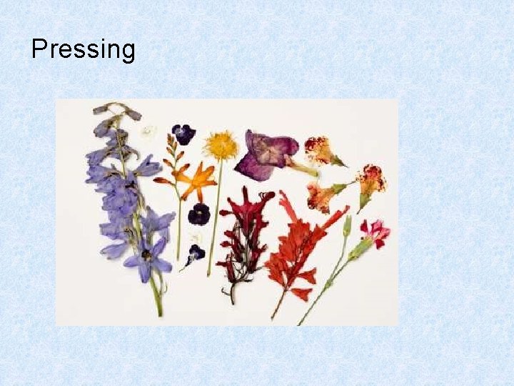 Pressing Pressing