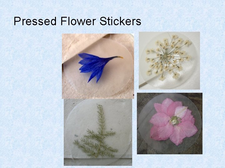 Pressed Flower Stickers 