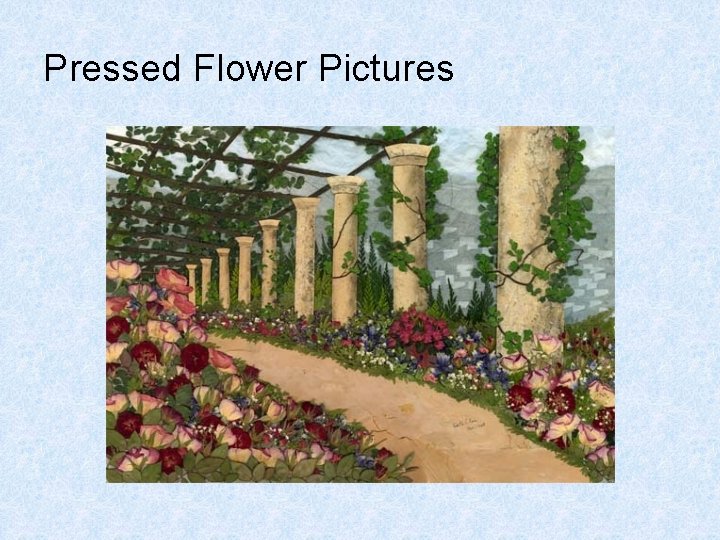 Pressed Flower Pictures 