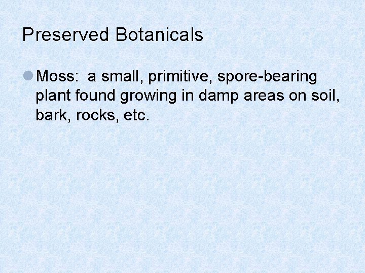 Preserved Botanicals l Moss: a small, primitive, spore-bearing plant found growing in damp areas Preserved Botanicals l Moss: a small, primitive, spore-bearing plant found growing in damp areas