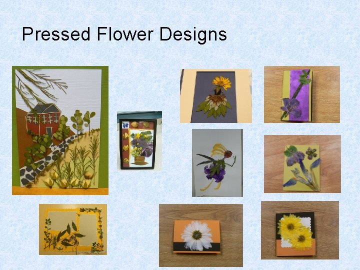 Pressed Flower Designs 